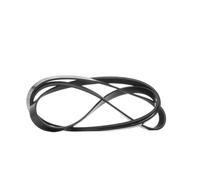 RIDEX 305P0478 Courroie Poly-V
