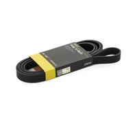 RIDEX 305P0481 Courroie Poly-V