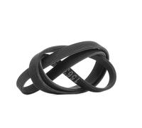 RIDEX 305P0486 Courroie Poly-V
