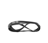 RIDEX 305P0488 Courroie Poly-V