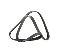 RIDEX 305P0492 Courroie Poly-V