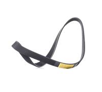 RIDEX 305P0520 Courroie Poly-V Compatible avec PEUGEOT 206 3/5 portes 2A/C