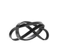 RIDEX 305P0531 Courroie Poly-V