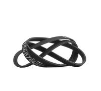 RIDEX 305P0532 Courroie Poly-V