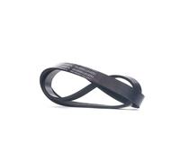 RIDEX 305P0549 Courroie Poly-V