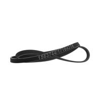 RIDEX 305P0568 Courroie Poly-V