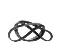 RIDEX 305P0633 Courroie Poly-V