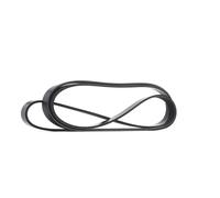 RIDEX 305P0639 Courroie Poly-V