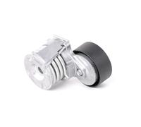 RIDEX 310T0030 Poulie, tendeur de courroie d'accessoire