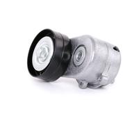 RIDEX 310T0053 Poulie, tendeur de courroie d'accessoire