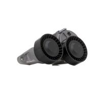 RIDEX 310T0054 Poulie, tendeur de courroie d'accessoire