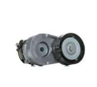 RIDEX 310T0154 Poulie, tendeur de courroie d'accessoire