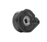 RIDEX 310T0196 Poulie, tendeur de courroie d'accessoire