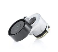 RIDEX 310T0205 Poulie, tendeur de courroie d'accessoire