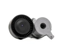 RIDEX 310T0300 Poulie, tendeur de courroie d'accessoire