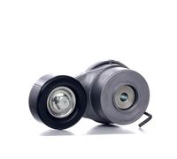 RIDEX 310T0320 Poulie, tendeur de courroie d'accessoire