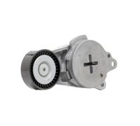 RIDEX 310T0404 Poulie, tendeur de courroie d'accessoire