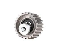RIDEX 313D0064 Galet enrouleur de courroie de distribution Compatible avec FIAT Ducato III Van 250, 290