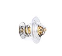 RIDEX 316T0034 Thermostat d'eau avec joint d'étanchéite 84°C