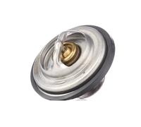 RIDEX 316T0050 Thermostat d'eau
