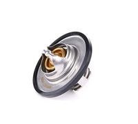 RIDEX 316T0055 Thermostat d'eau sans boîtier avec joint d'étanchéite 82°C