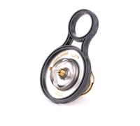 RIDEX 316T0075 Thermostat d'eau