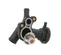 RIDEX 316T0293 Thermostat d'eau