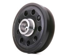 RIDEX 3213B0177 Poulie damper (vilebrequin) sans accessoires Compatible avec BMW 1 5 portes F20