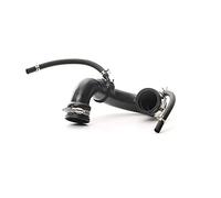 RIDEX 3314C0113 Gaine de suralimentation