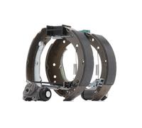 RIDEX 3859B0007 Kit de freins, freins à tambours