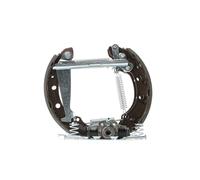 RIDEX 3859B0019 Kit de freins, freins à tambours