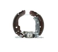 RIDEX 3859B0022 Kit de freins, freins à tambours