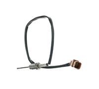 RIDEX 3938E0161 Palpeur, température des gaz