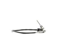 RIDEX 3938E0169 Palpeur, température des gaz