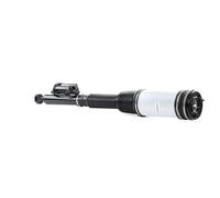 RIDEX 4118A0005 Amortisseur pneumatique
