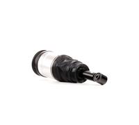 RIDEX 4118A0016 Amortisseur pneumatique