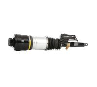 RIDEX 4118A0019 Amortisseur pneumatique