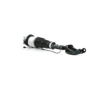 RIDEX 4118A0020 Amortisseur pneumatique