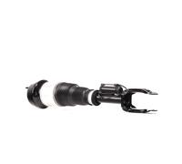 RIDEX 4118A0022 Amortisseur pneumatique