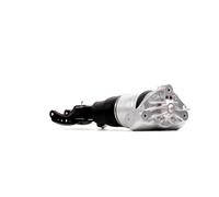 RIDEX 4118A0042 Amortisseur pneumatique