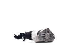 RIDEX 4118A0070 Amortisseur pneumatique