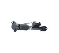 RIDEX 4118A0078 Amortisseur pneumatique