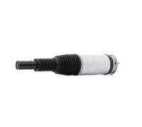 RIDEX 4118A0113 Amortisseur pneumatique