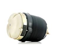 RIDEX 4119A0025 Ressort pneumatique