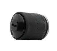 RIDEX 4119A0079 Ressort pneumatique
