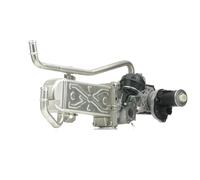RIDEX 4198E0002 Module-EGR