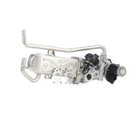 RIDEX 4198E0003 Module-EGR