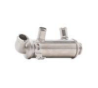 RIDEX 4198E0036 Module-EGR