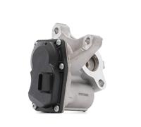 RIDEX 4198E0088 Module-EGR