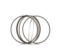 RIDEX 444P0018 Jeu de segments de pistons